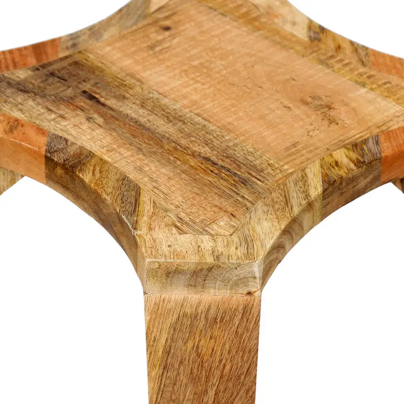 Natural Mango Wood Side Table - 13" Round Boho Accent Table